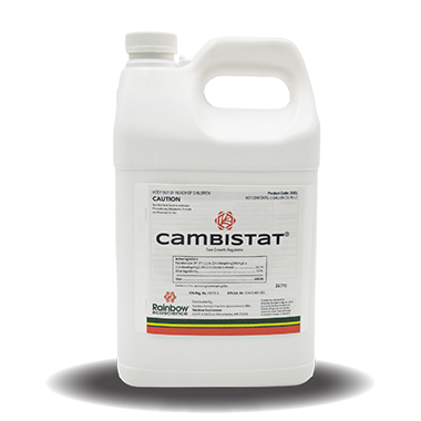 Cambistat