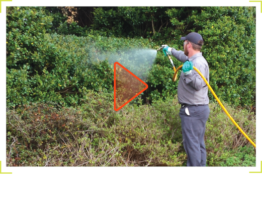 Trimtect Application