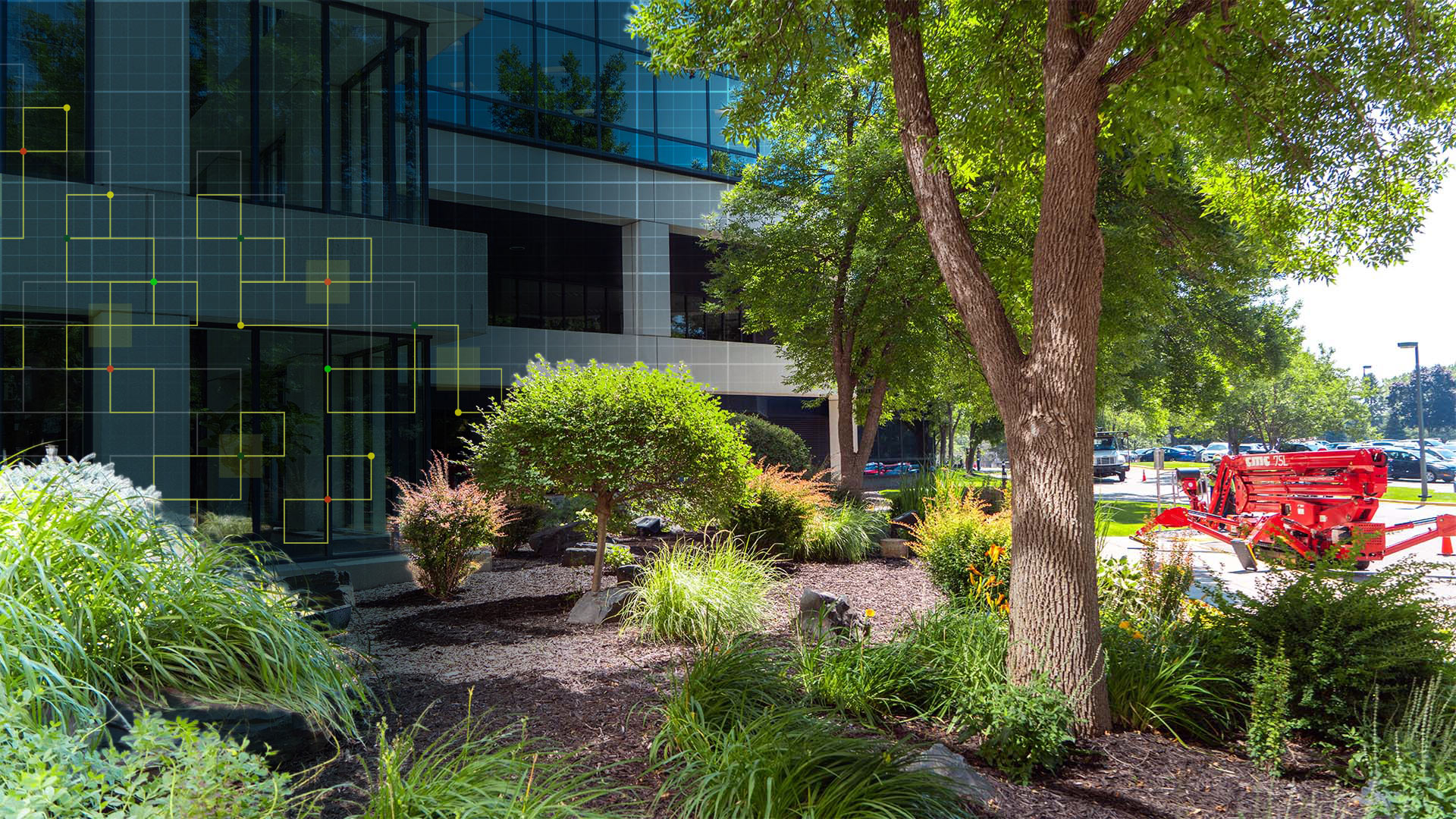 ash landscaping