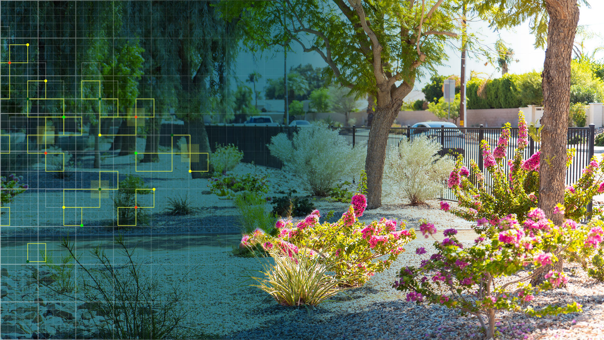 landscaping