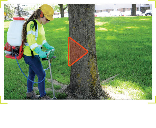 HTI Application