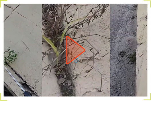 Onmark Application